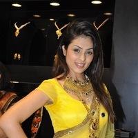 Anjana Sukhani Inaugurates Jewelry Store - Pictures | Picture 105529